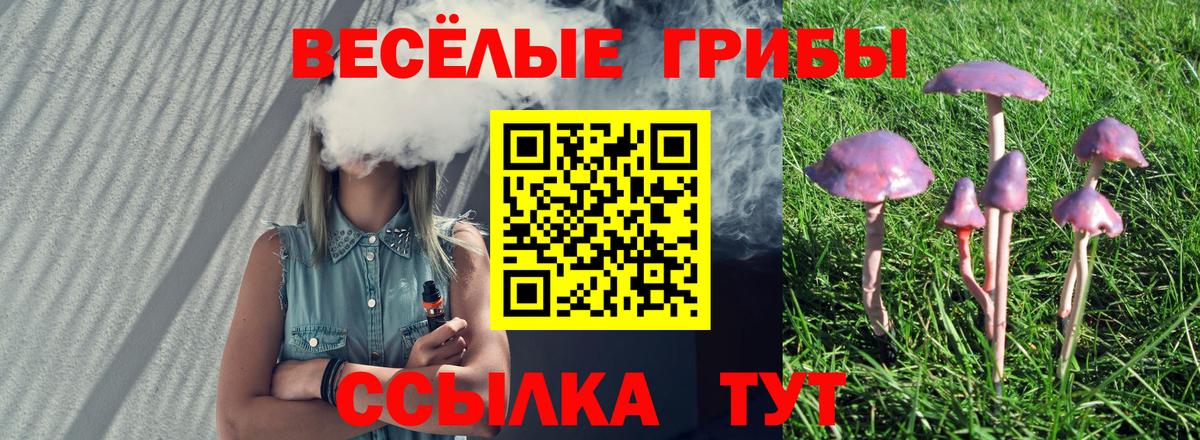 Галлюциногенные грибы Psilocybine cubensis Сатка